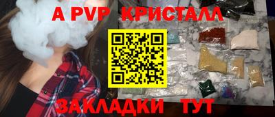 СК Краснознаменск