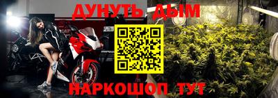 СК Краснознаменск