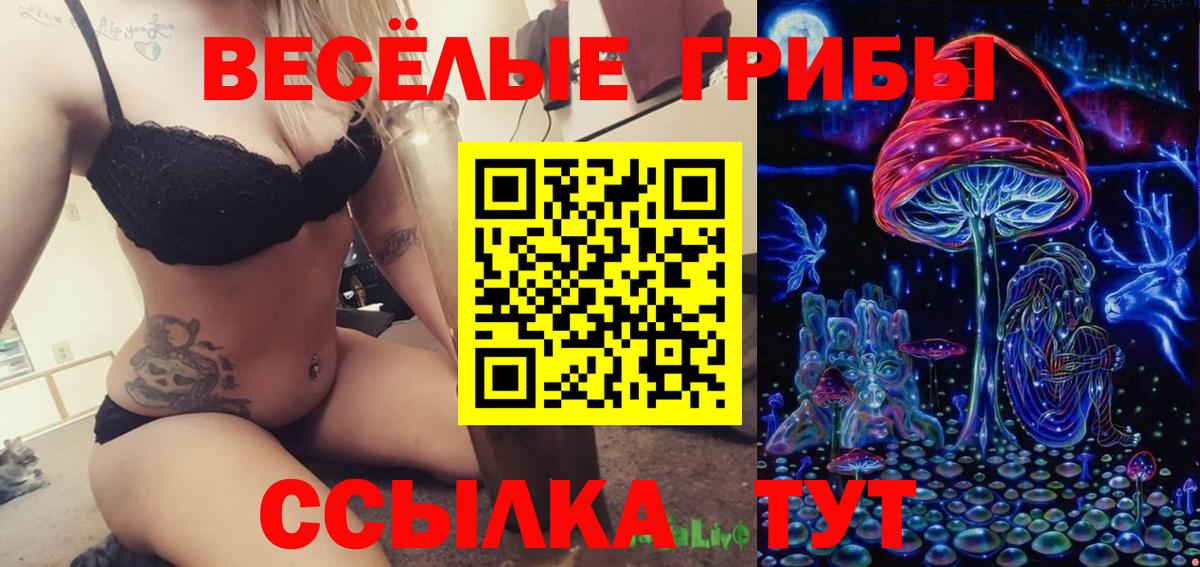 Псилоцибиновые грибы ЛСД  Вход с VPN  Сыктывкар 