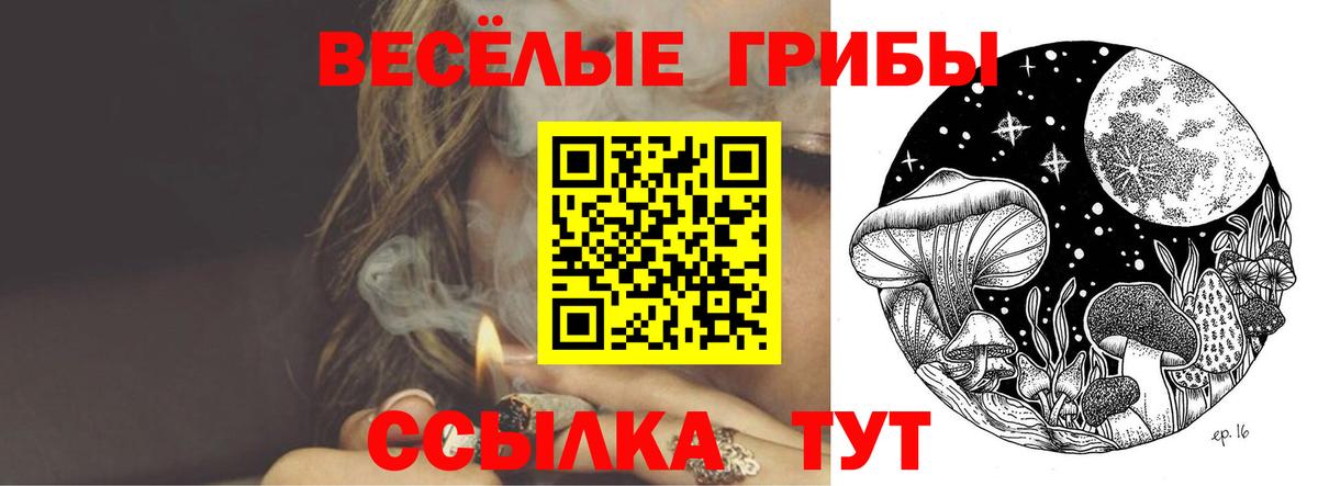 Галлюциногенные грибы Psilocybine cubensis Сыктывкар
